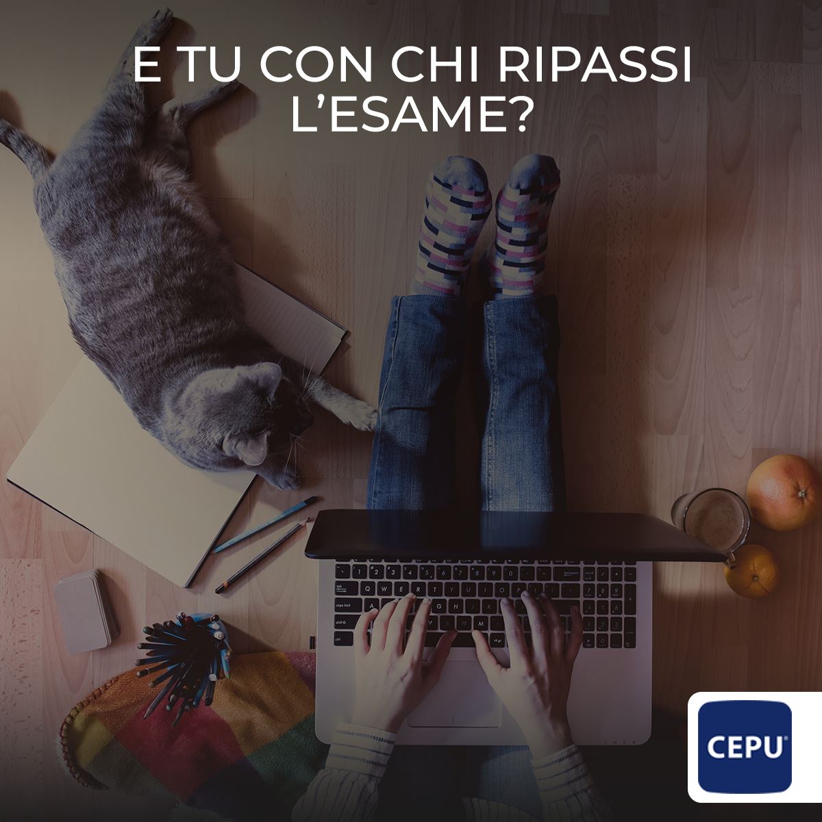 IeFP a Brescia